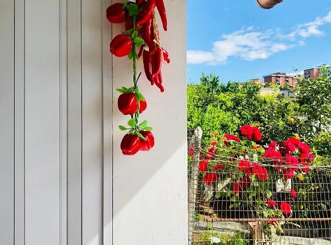 Gasthuis Far West 3*